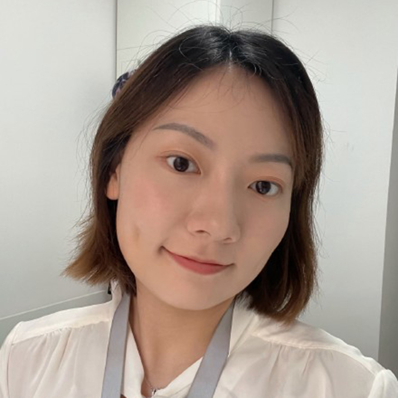 案例展示