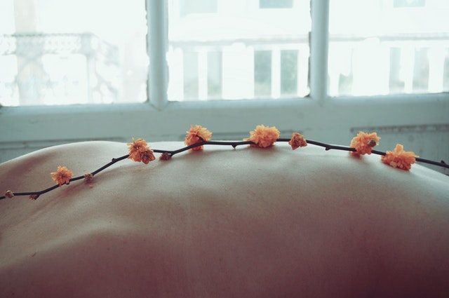 pexels-photo