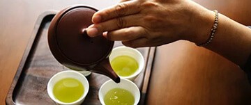 山茶属多种植物和园艺品种的通称.