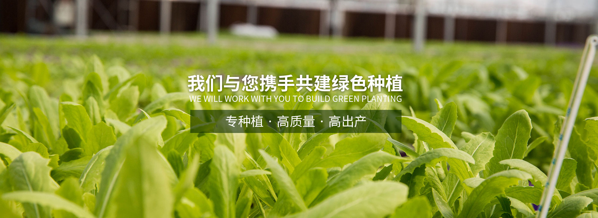 风格酷模板网