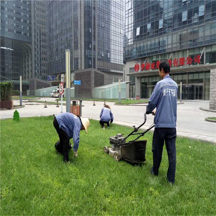 园林绿化