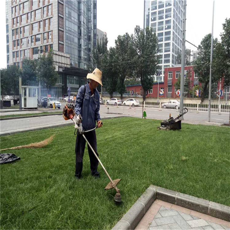 园林绿化