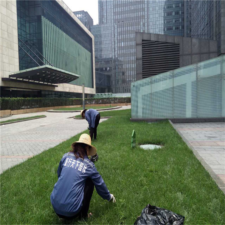 园林绿化