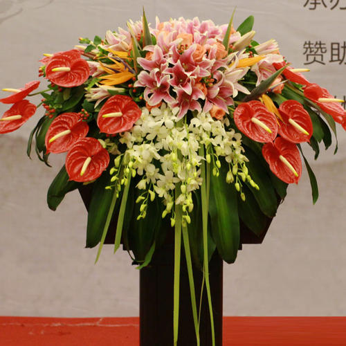 会议用花