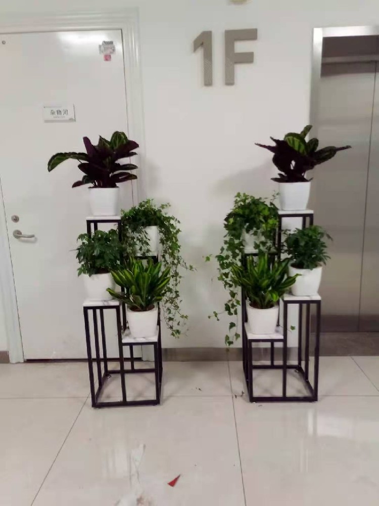 组合花卉