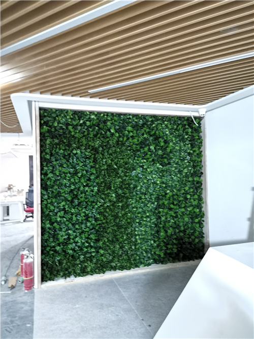 绿植墙