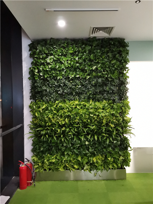 绿植墙