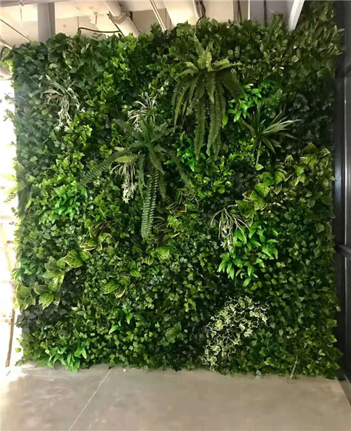 绿植墙