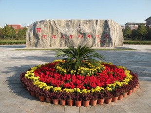 节日花坛