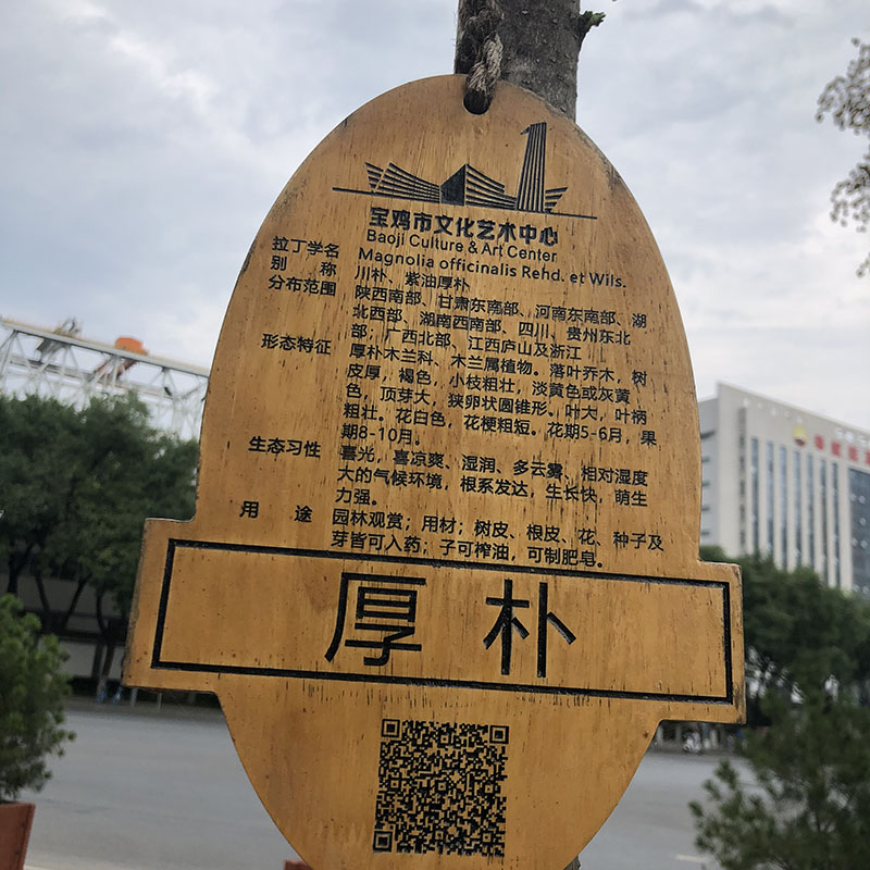 工程案例
