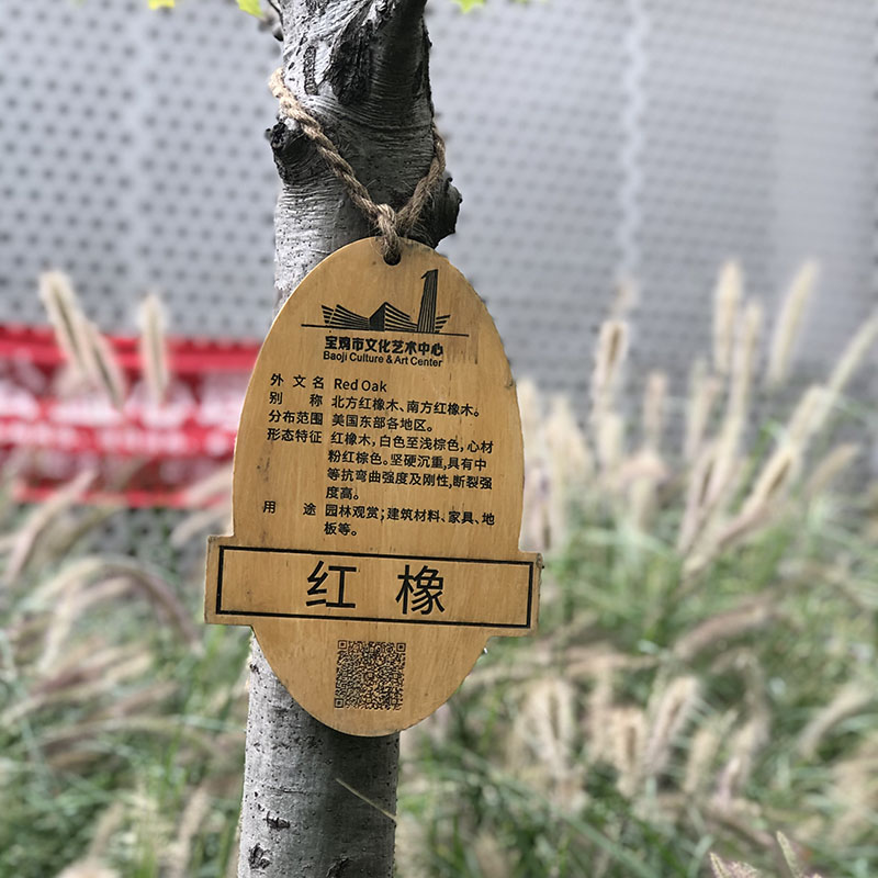工程案例
