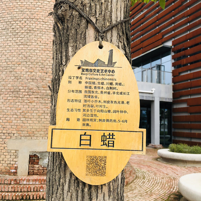 工程案例