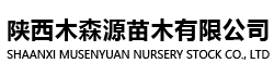 陕西木森源苗木有限公司