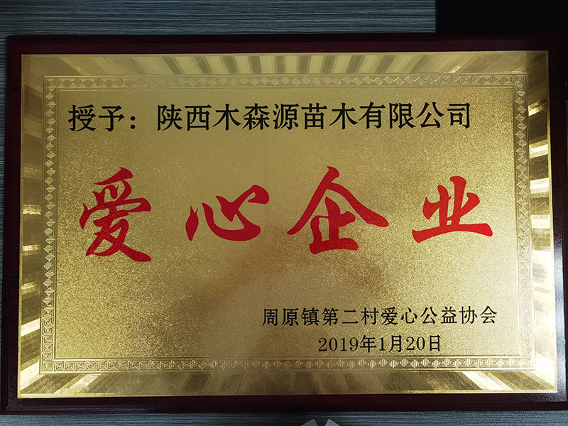 爱心企业