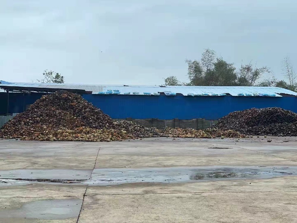椰糠原料