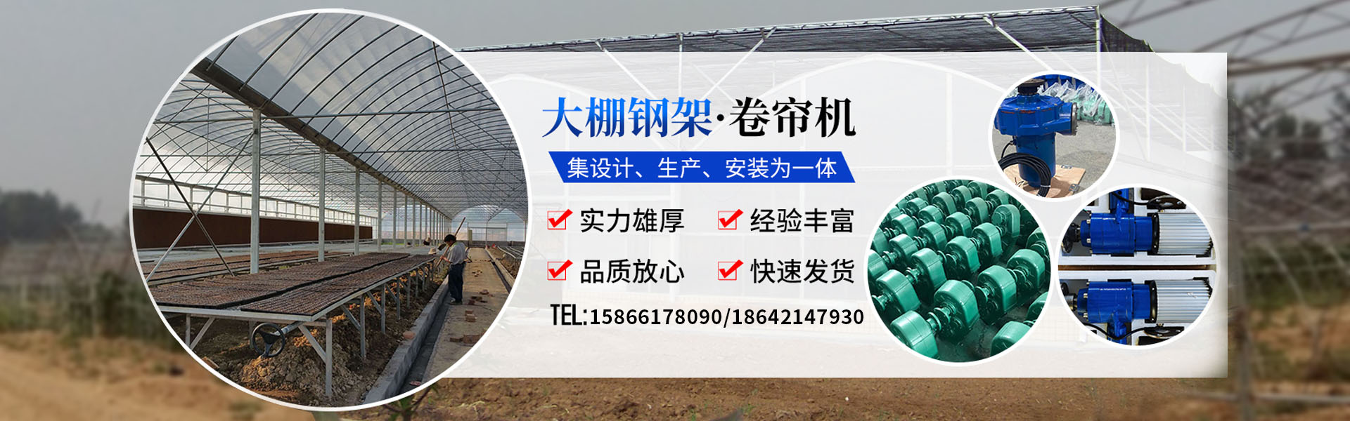 龙耀