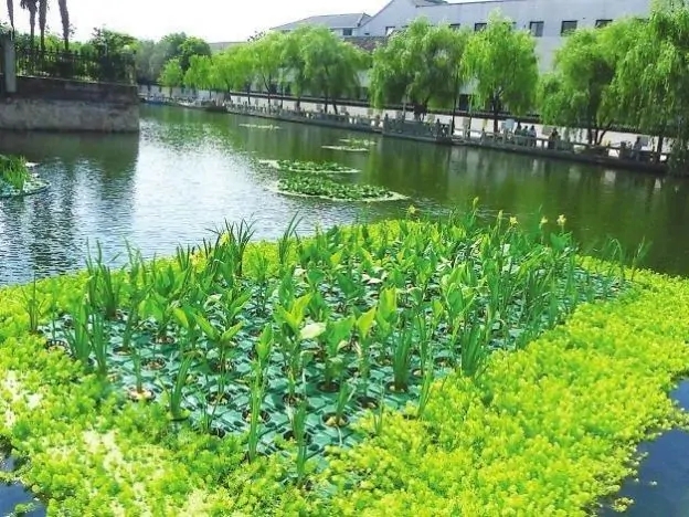 生态浮岛