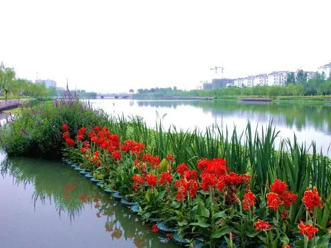 生态浮岛