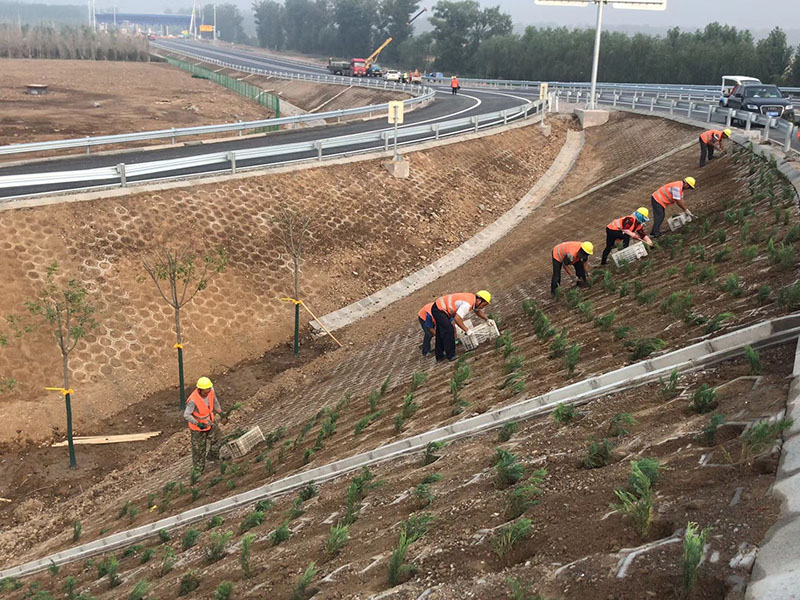 绿化工程