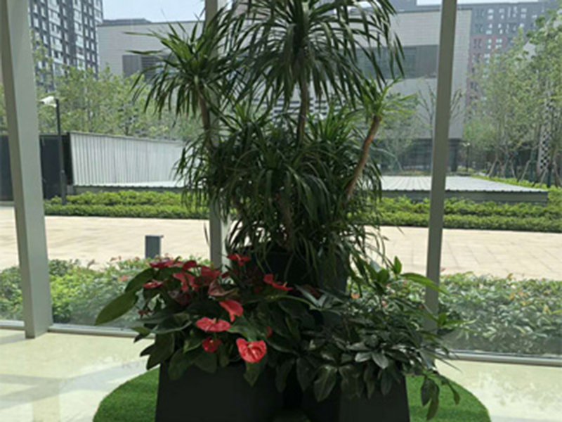 慈善基金会