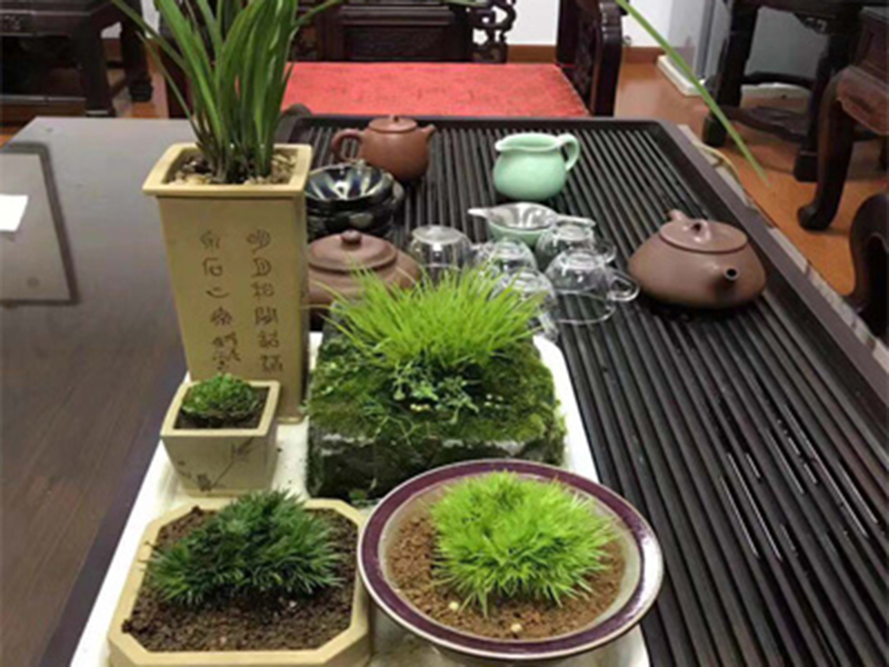 万达信息
