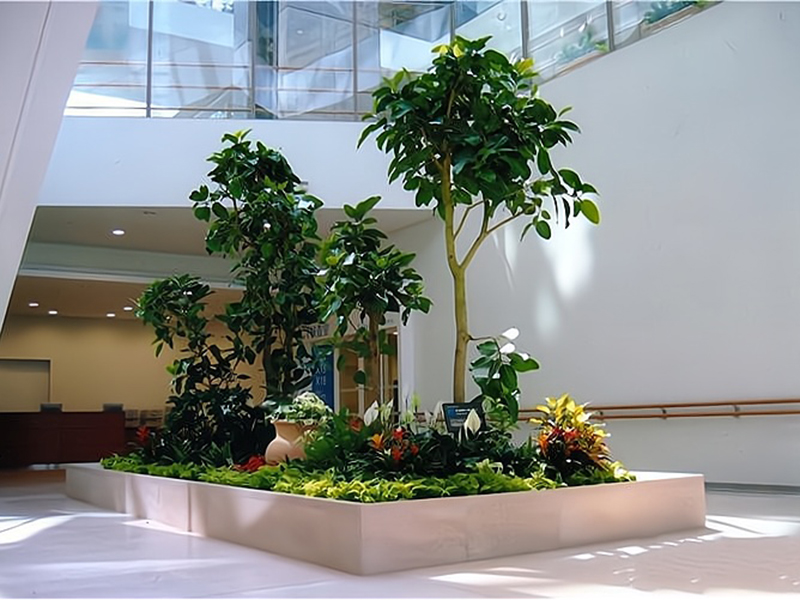 租摆展示