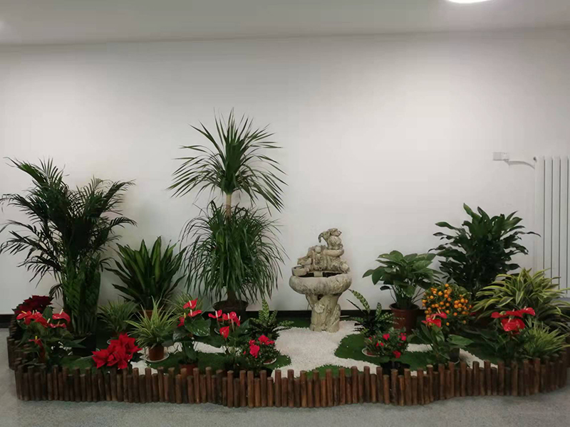 绿植组合租摆案例