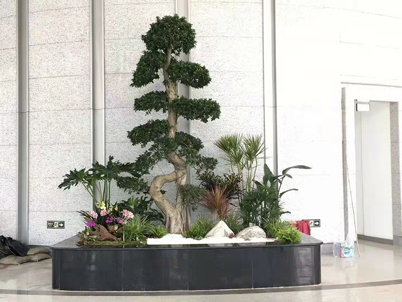 绿植组合租摆案例