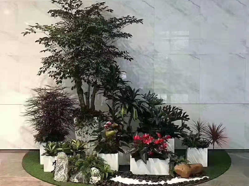绿植组合租摆案例