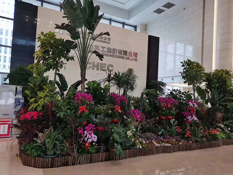 绿植组合租摆案例