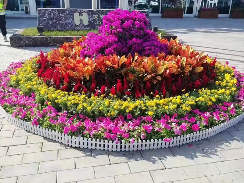 花坛组合