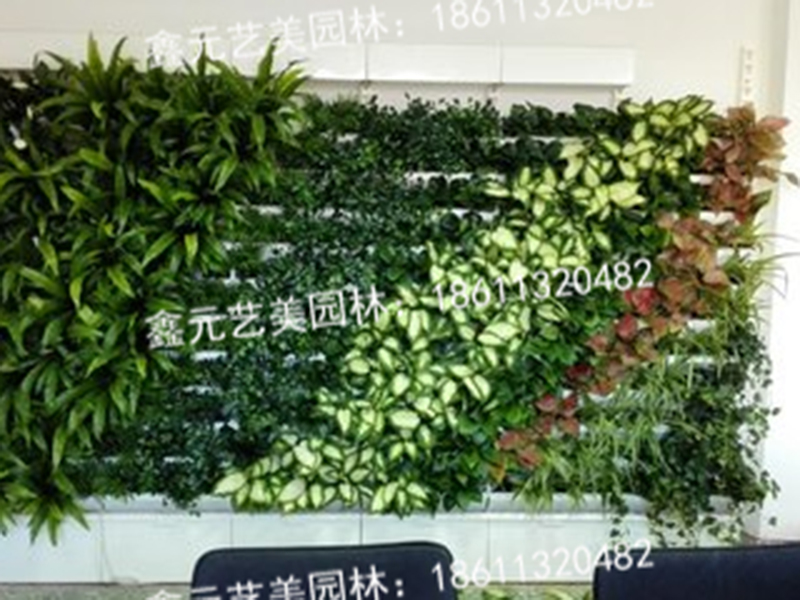 植物墙3