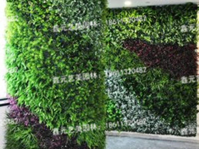 植物墙1
