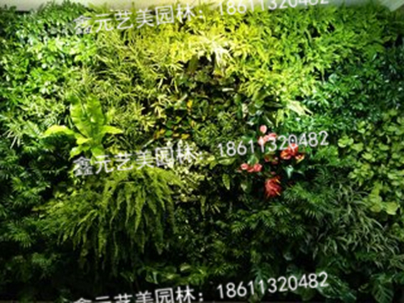 植物墙