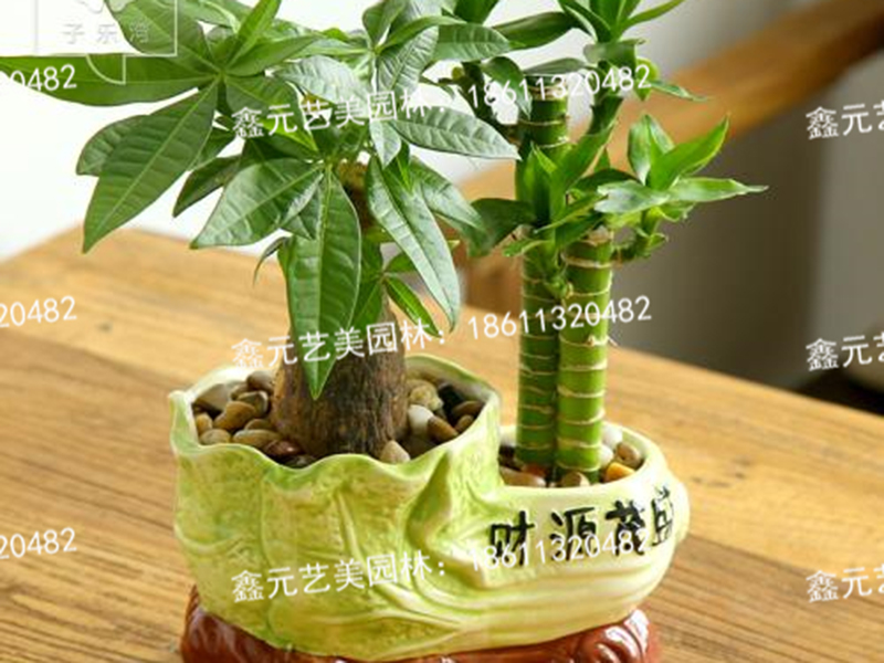 五子发财2