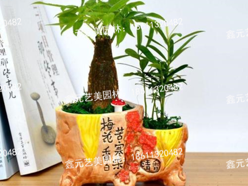 五子发财