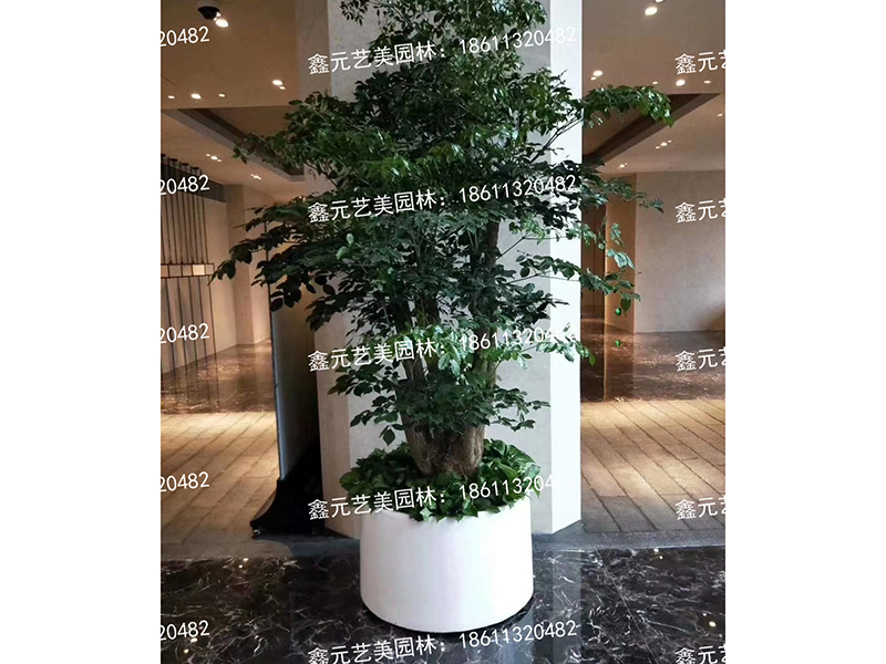 租摆案例