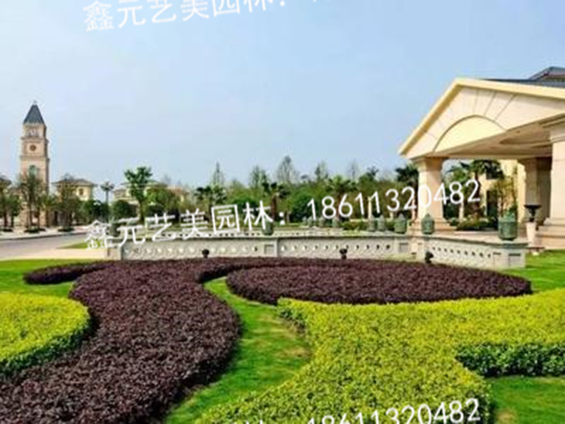 绿化养护