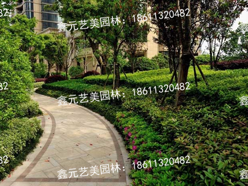 绿化养护