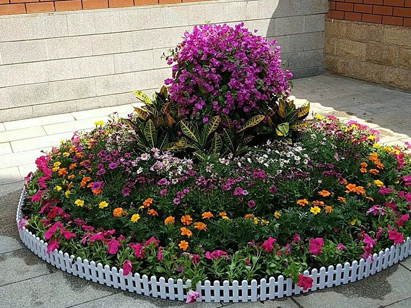 节日花坛