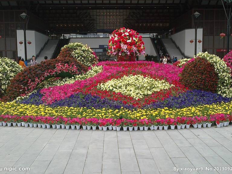 节日花坛