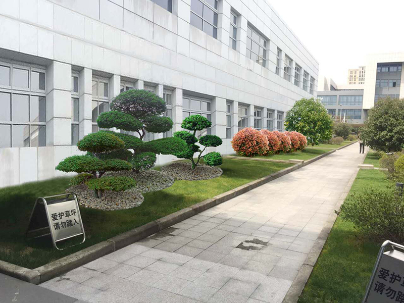 厂区绿化施工 养护