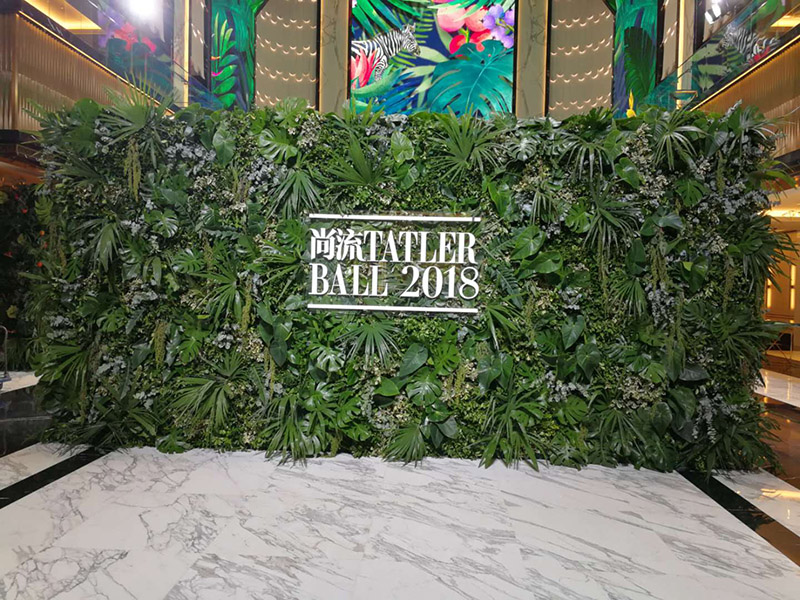 植物墙设计