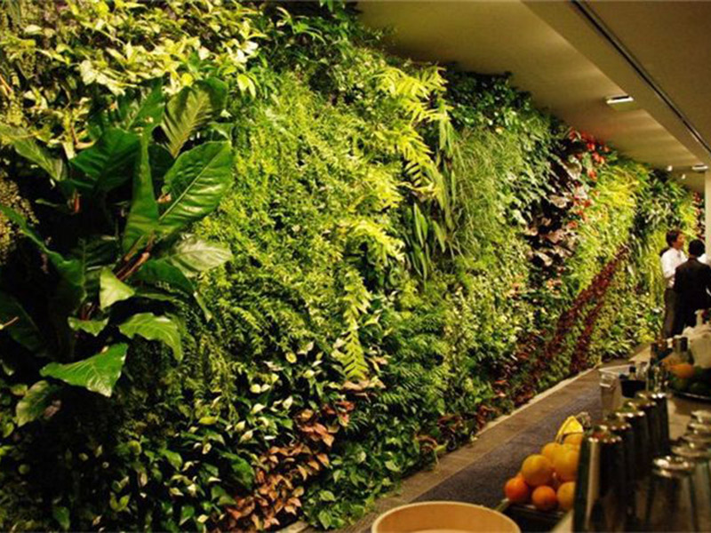 植物墙设计
