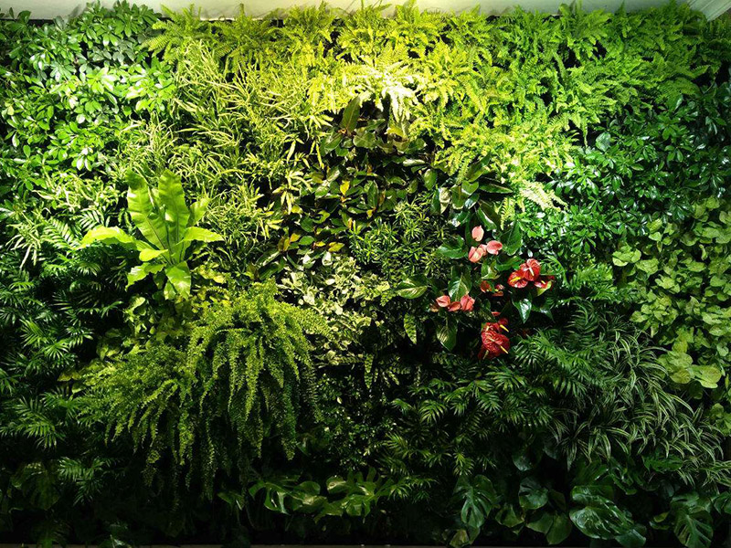 植物墙设计