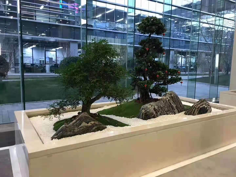 合作案例实景