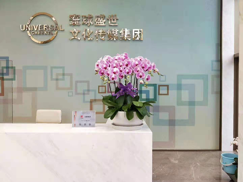 合作案例实景