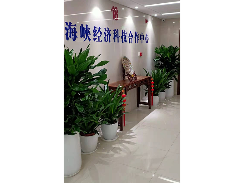 合作案例实景