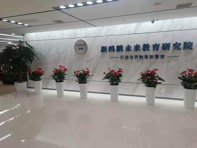 公司前厅绿植租摆实例