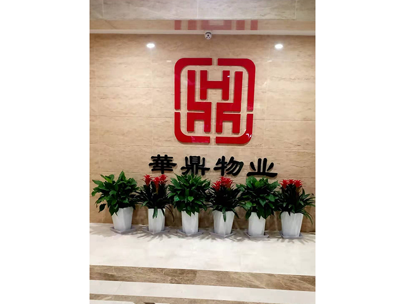 合作案例实景